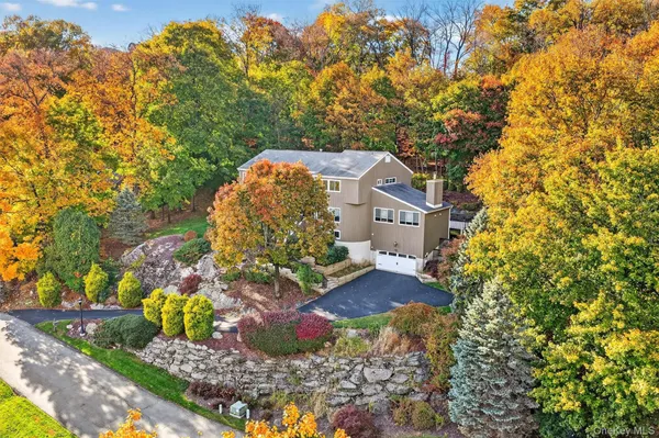 a view of a yard with plants and large trees