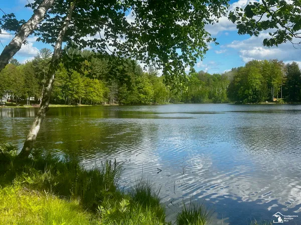 $19,900 | 9835 Miramichi Drive, Evart, MI 49631