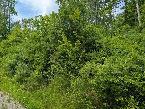 $24,900 | Lake Lorraine Lane, Norwich, NY 13815