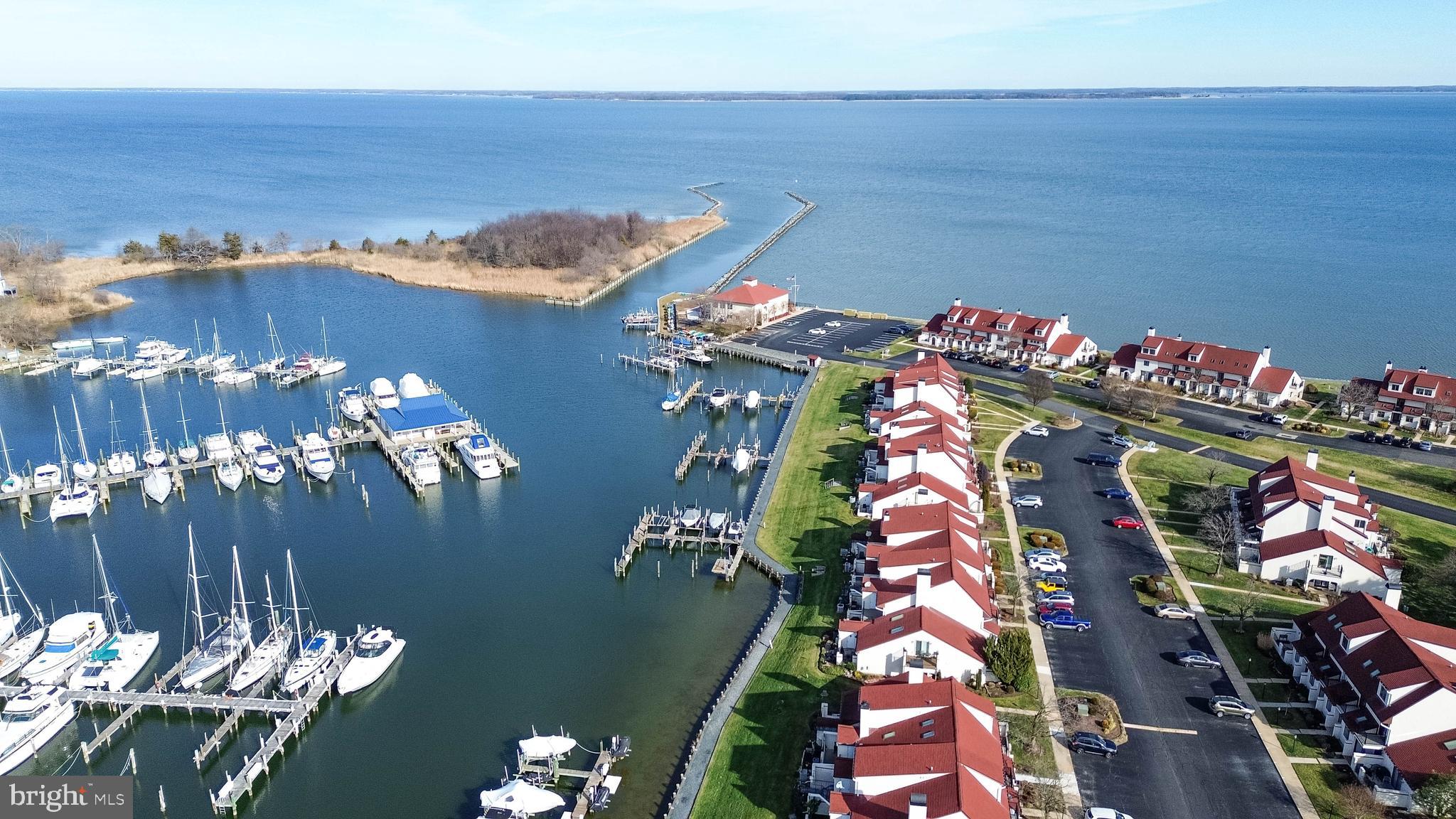 6 Queen Victoria Way Chester, MD 21619 - Photo 36 of 50 Aerial view