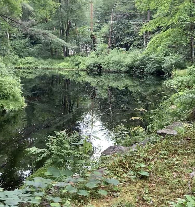 222 Berry River Road Barrington, NH 03825 - Photo 6 of 17