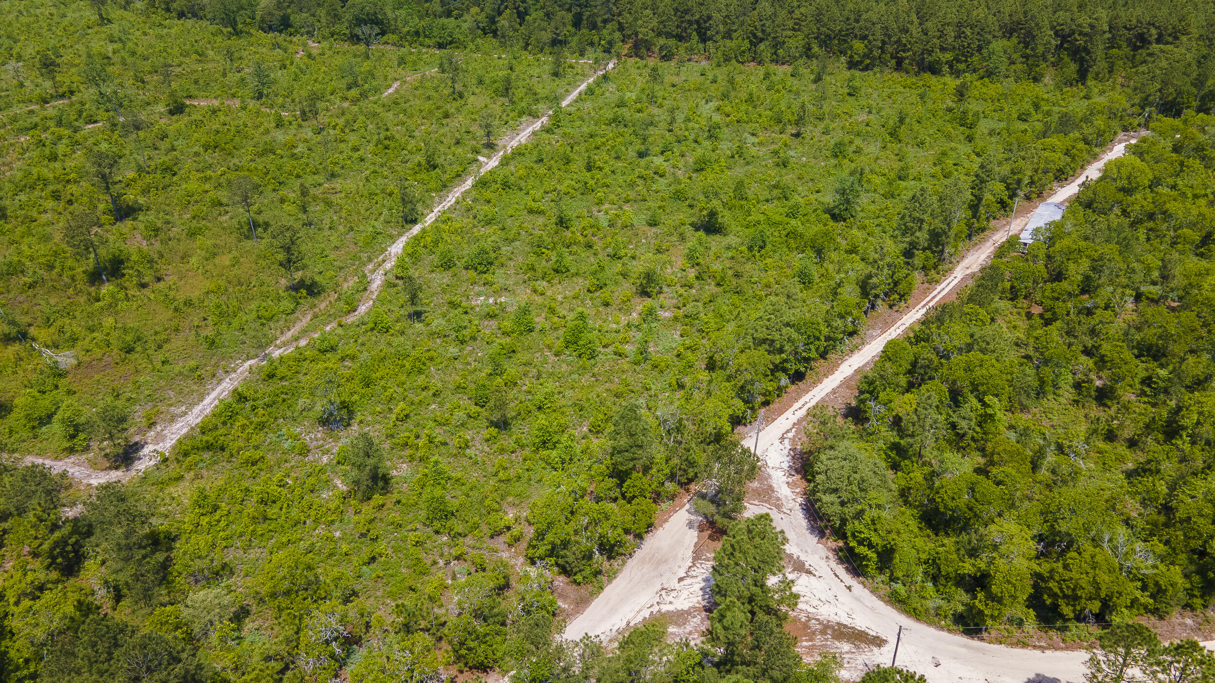 9-acres Old Shoals Road Monetta, SC 29105 - Photo 3 of 3