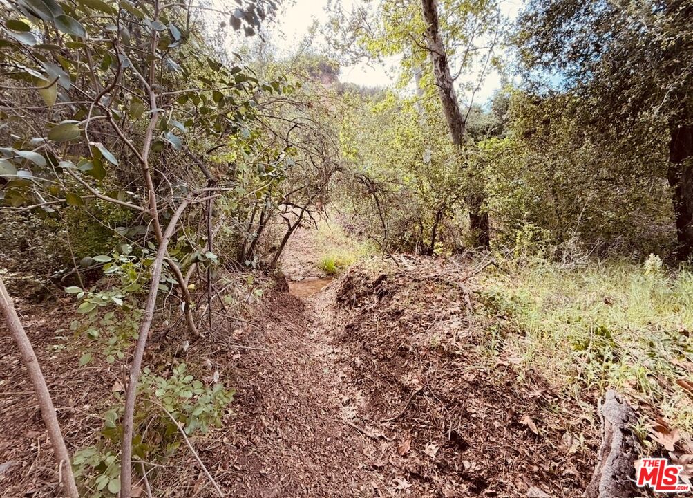 0 Red Rock Road Topanga, CA 90290 - Photo 50 of 53 a view of a yard with a tree