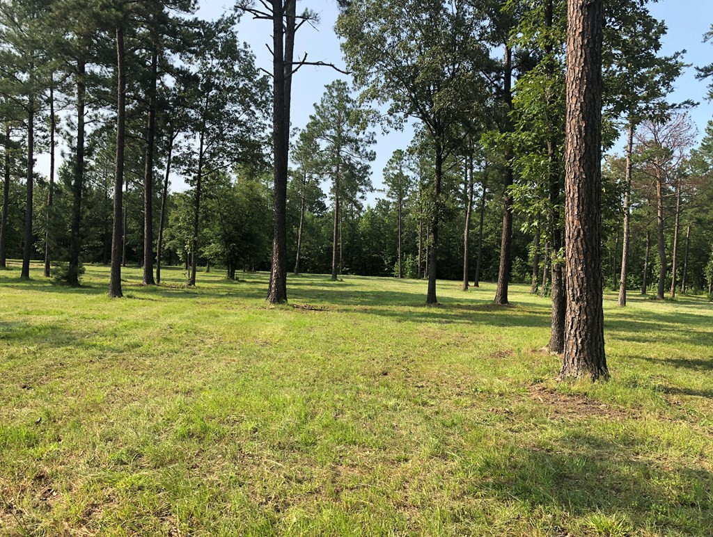 0 Rembert Place Aiken, SC 29803 - Photo 3 of 13