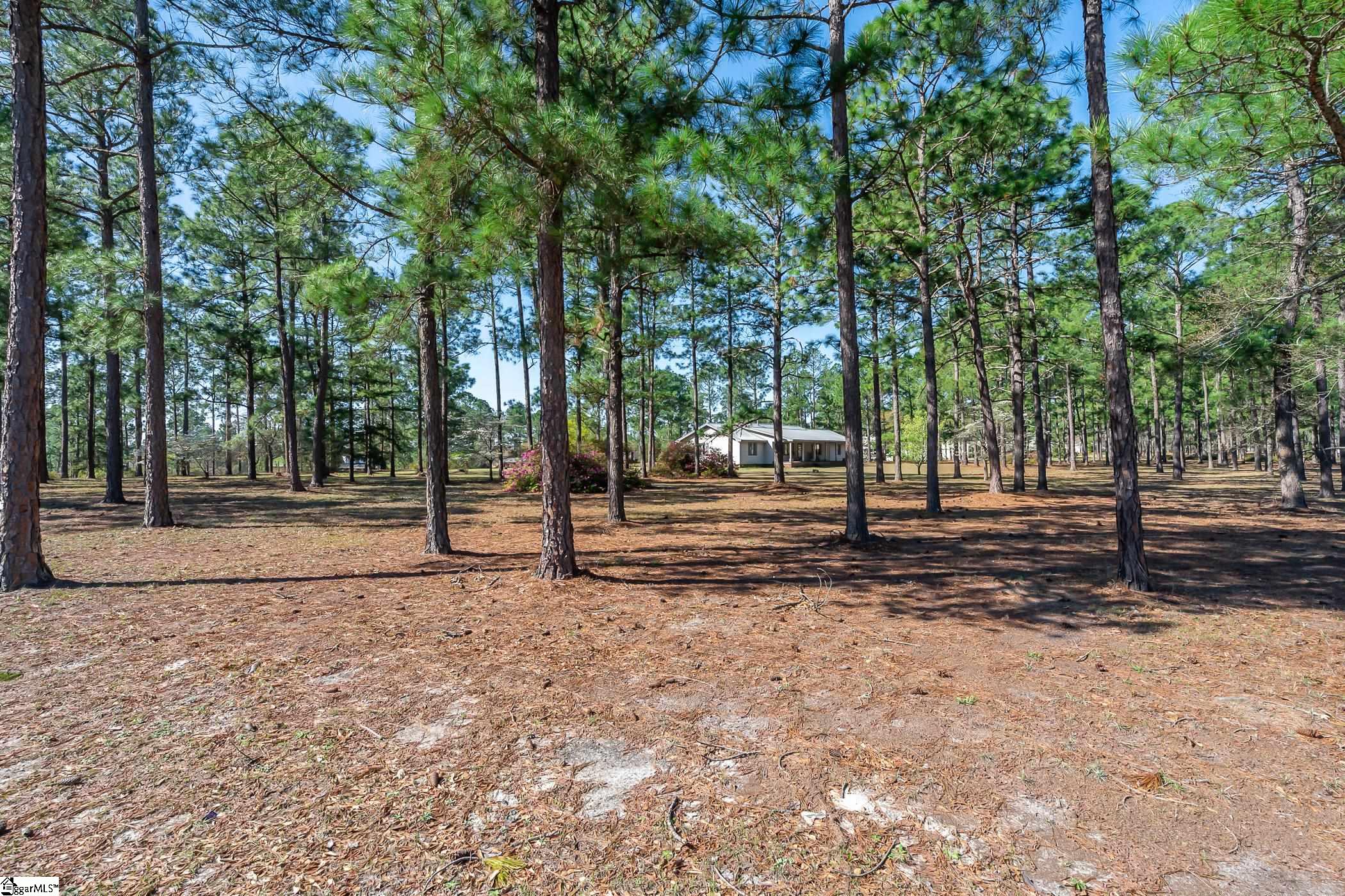 4755 Platt Springs Road West Columbia, SC 29170 - Photo 24 of 24 Gallery Image 24