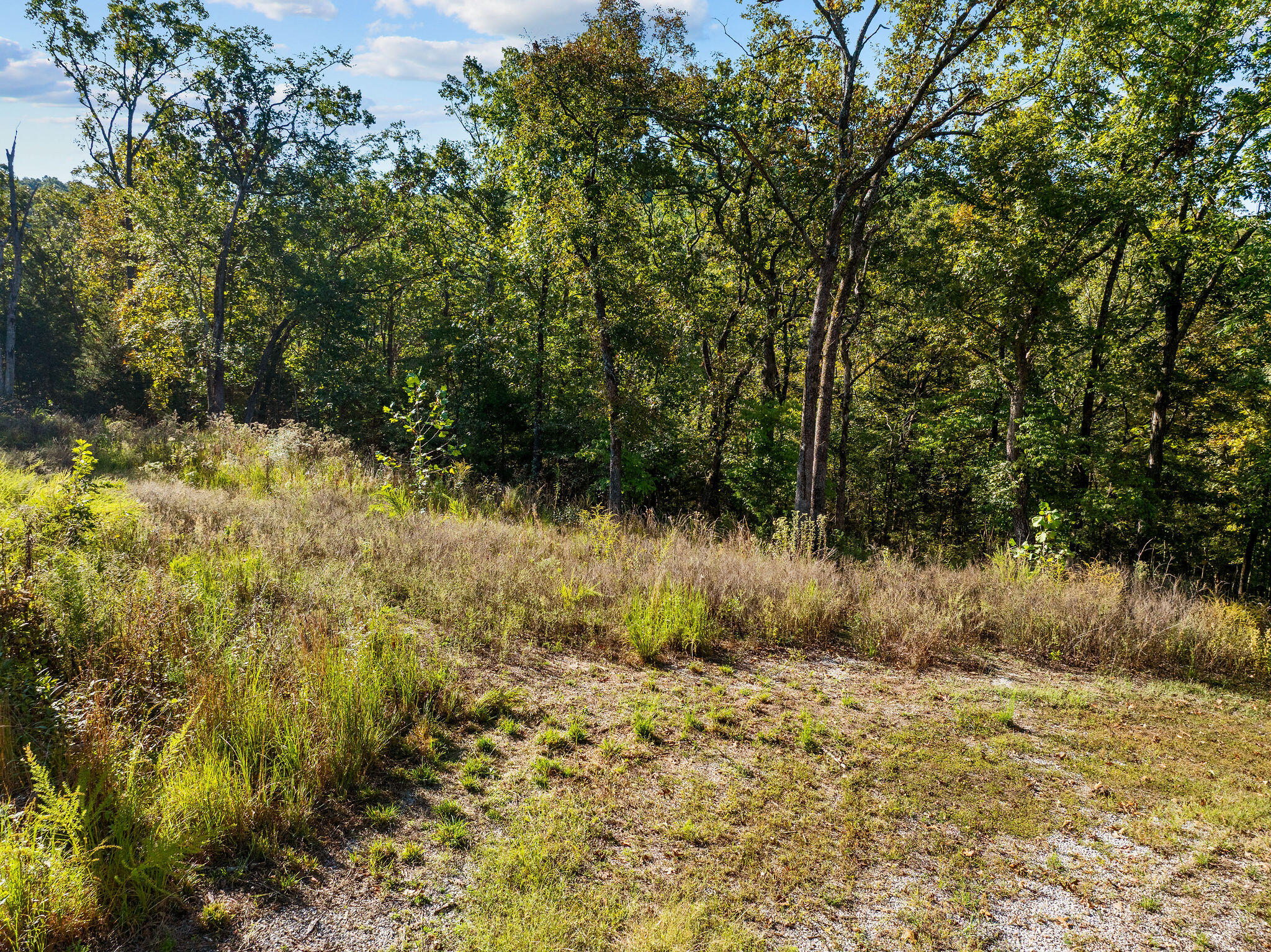 13789 North Branch Road Omaha, AR 72662 - Photo 5 of 24 DJI_20251010101121_0103_D