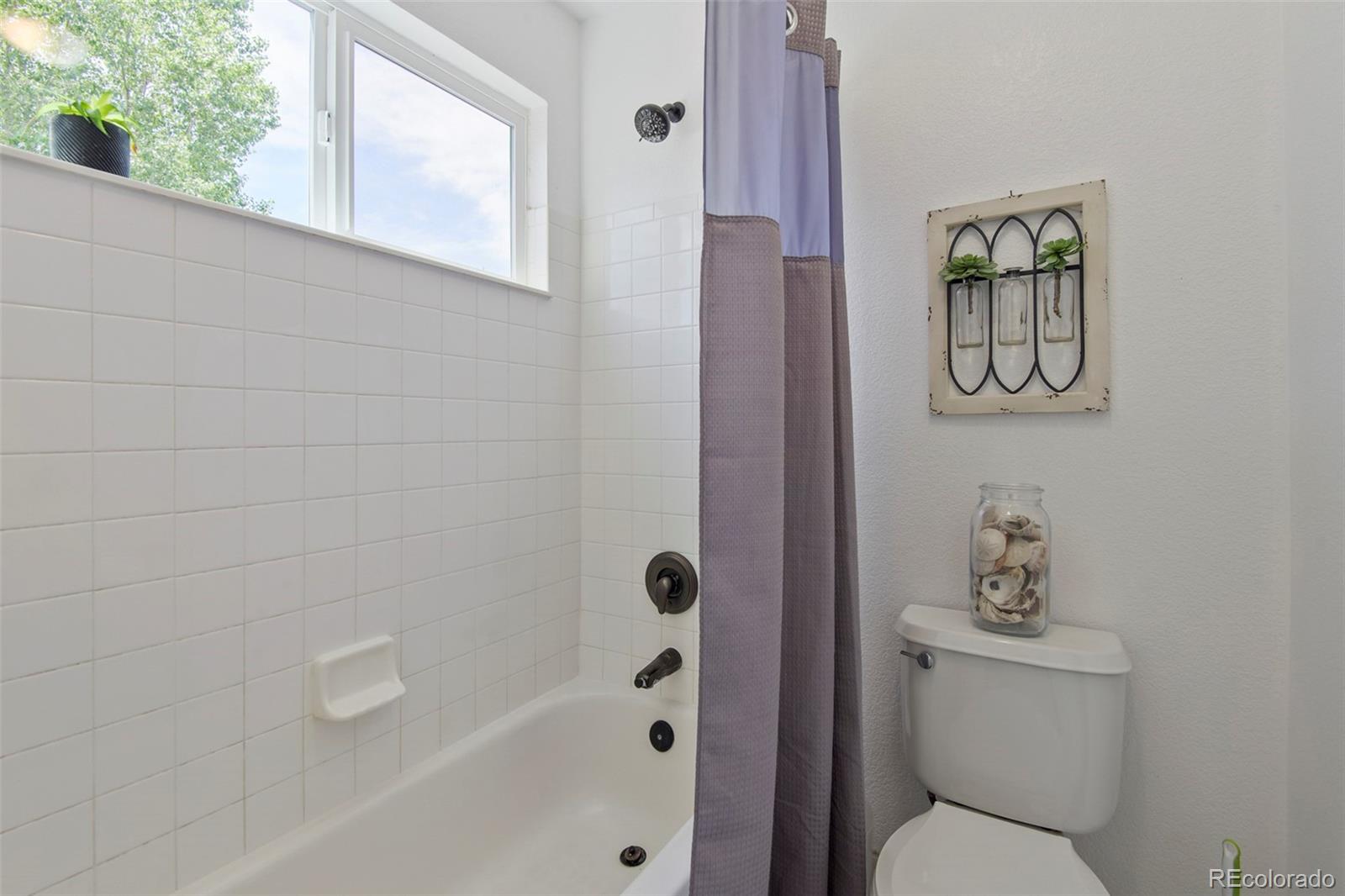 10329 Royal Eagle Street Highlands Ranch, CO 80129 - Photo 30 of 46