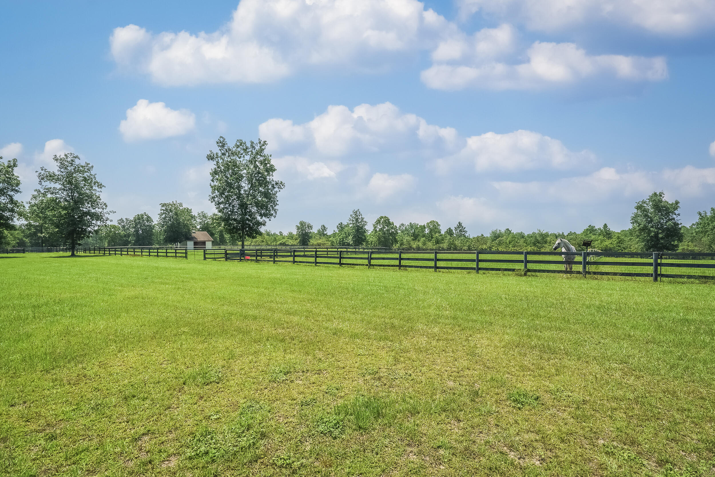 937 Colbert Bridge Road Aiken, SC 29803 - Photo 25 of 58