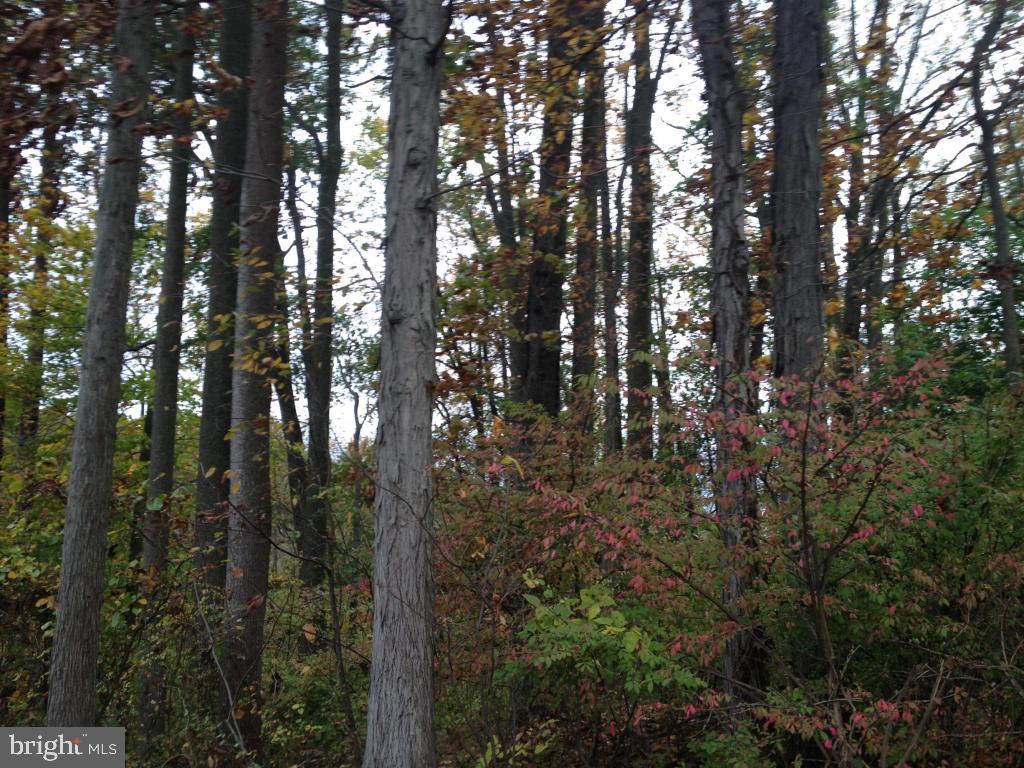 Lot # Texter Mission Road Robesonia, PA 19551 - Photo 1 of 1 Gallery Image 1