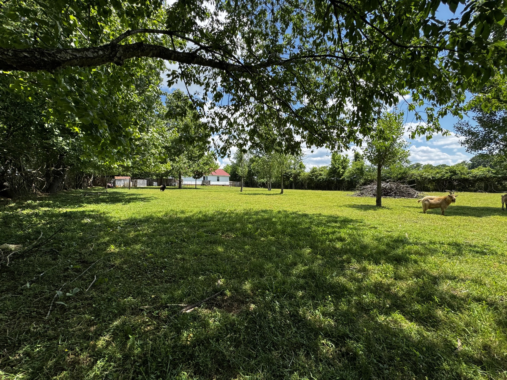 603 Canaan Road Columbia, TN 38401 - Photo 19 of 22 Gallery Image 19