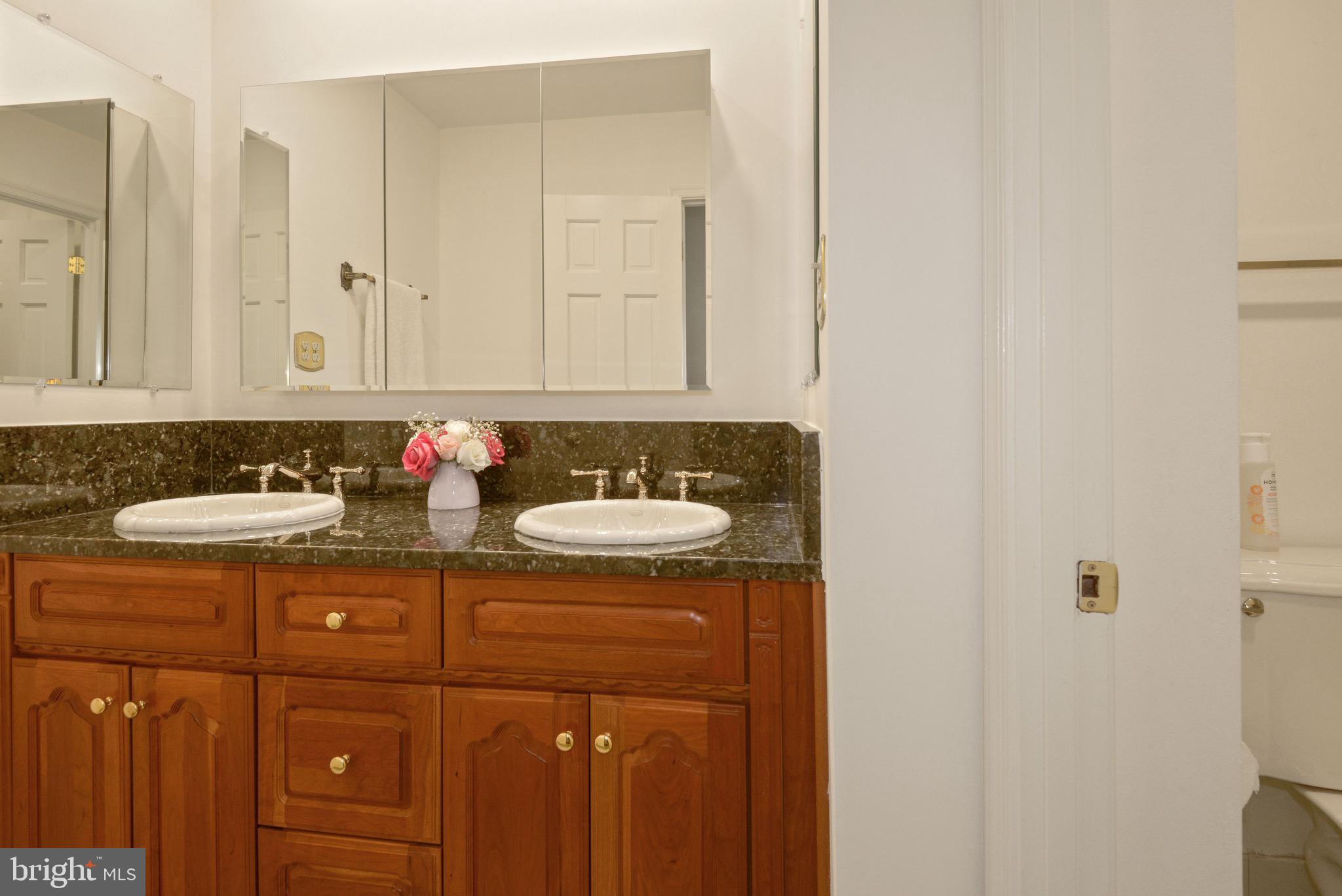 11805 Blue Spruce Road Reston, VA 20191 - Photo 30 of 60