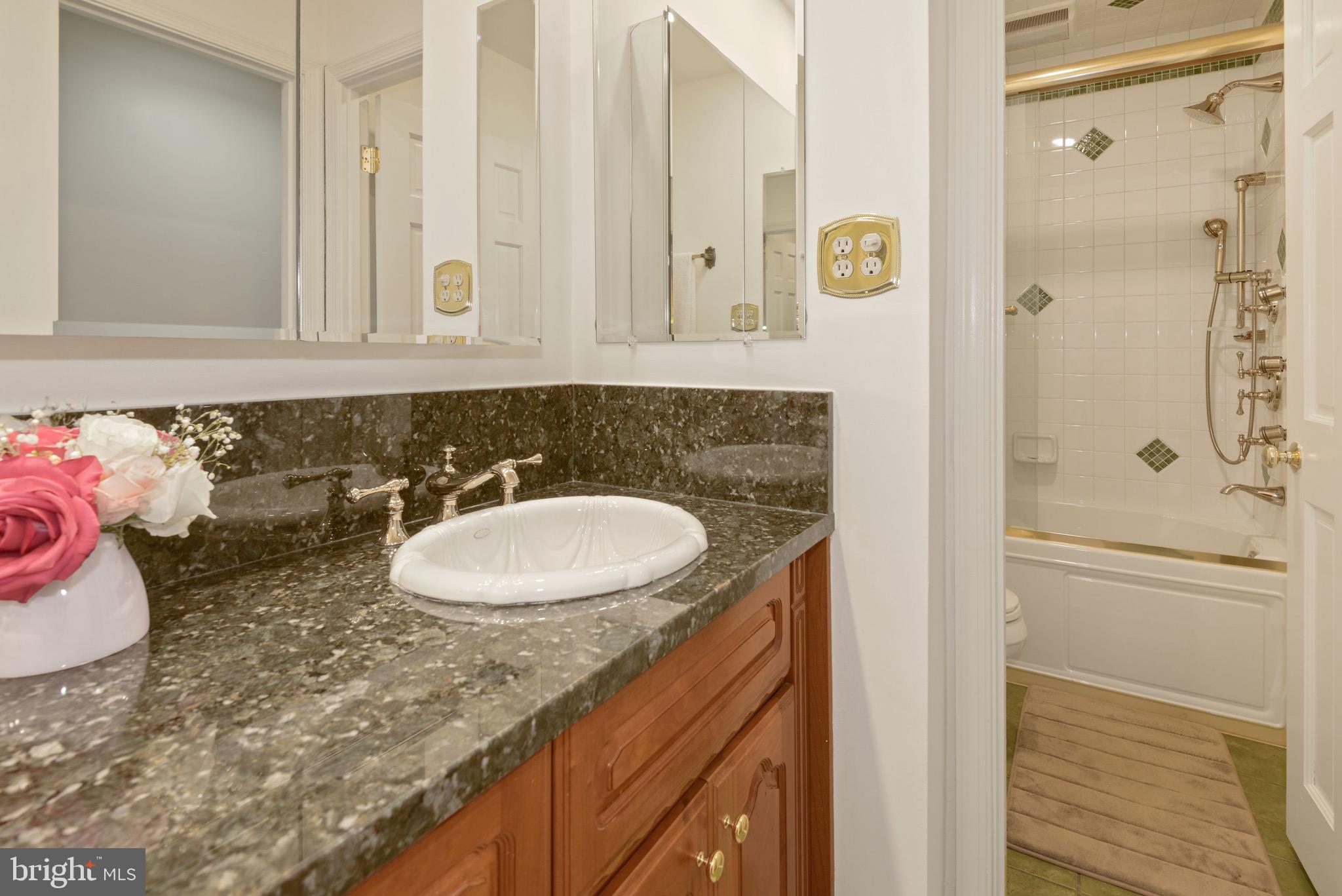 11805 Blue Spruce Road Reston, VA 20191 - Photo 31 of 60