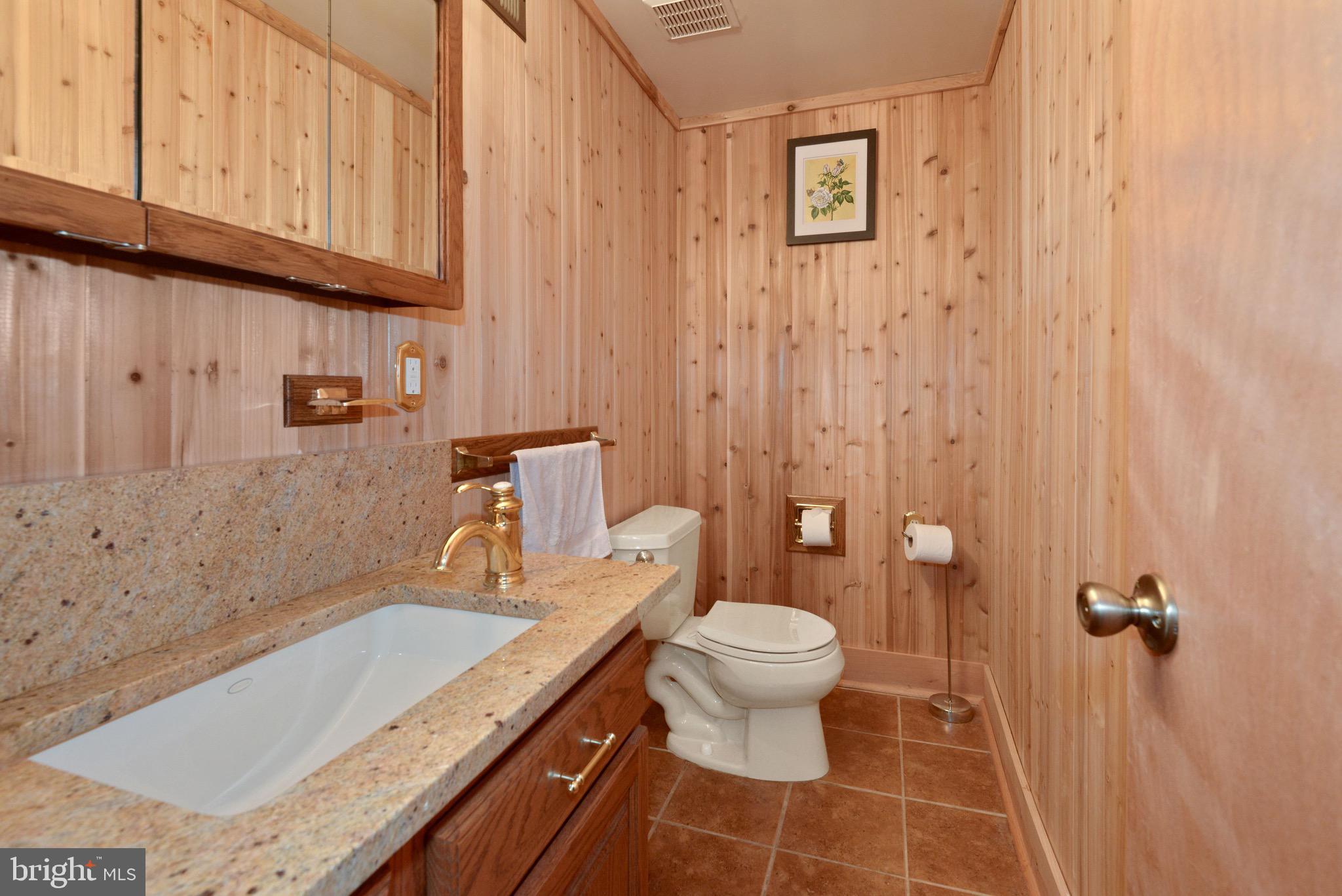 11805 Blue Spruce Road Reston, VA 20191 - Photo 46 of 60