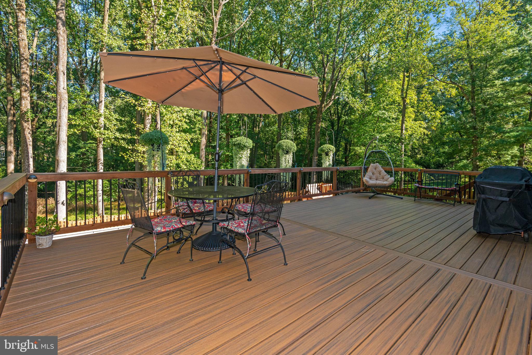 11805 Blue Spruce Road Reston, VA 20191 - Photo 60 of 60