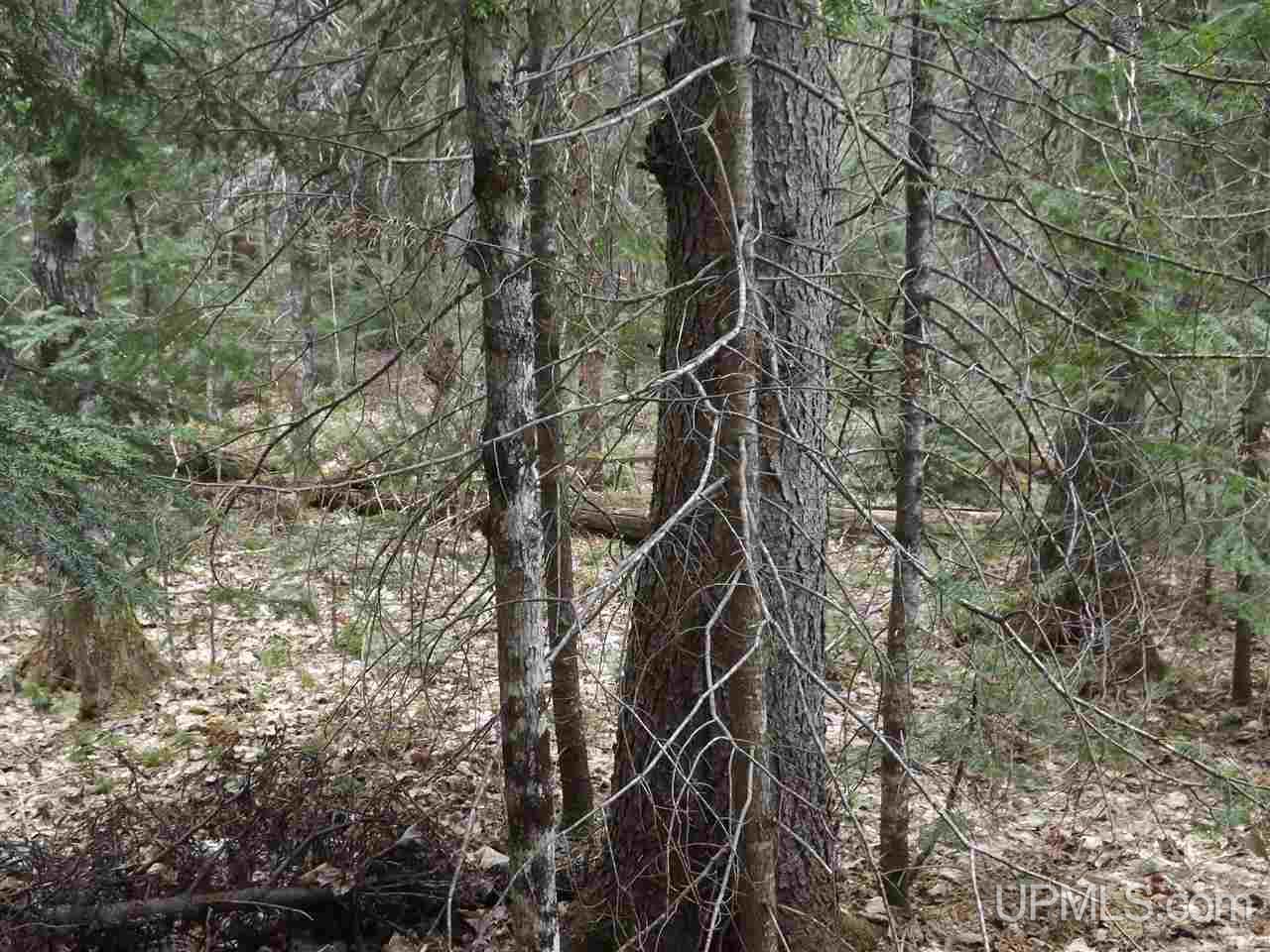 Tbd Forest Rd 180 Wakefield, MI 49968 - Photo 10 of 15