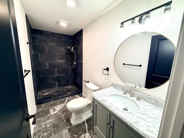 a view of a yard with trees