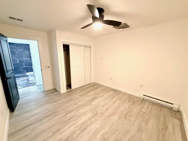 a view of a yard with plants and trees