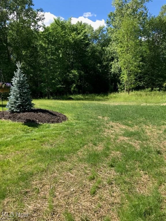 Vl Lunn Road Strongsville, OH 44149 - Photo 2 of 4 View of grassy yard