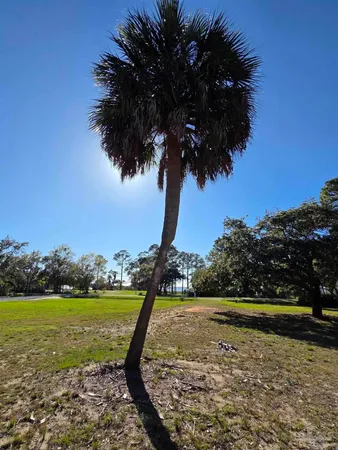 a view of a big yard with a fountain