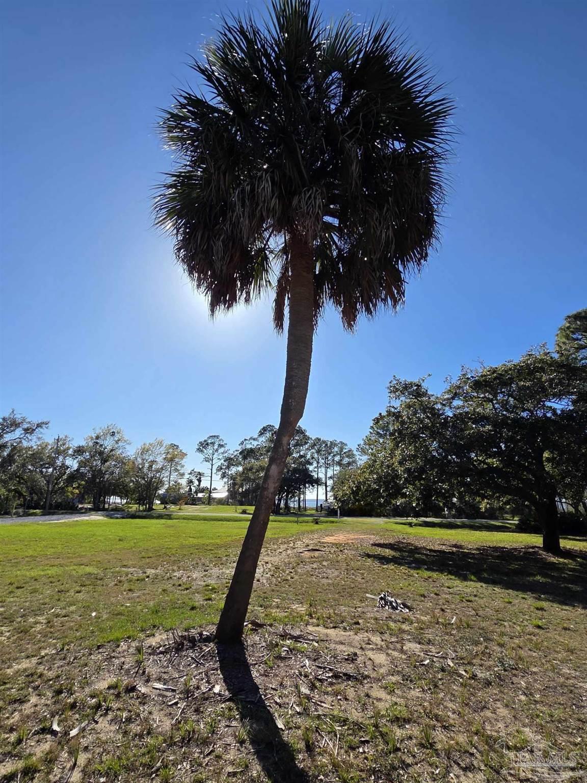 1164 Pearson Road, Unit LOT 2 Milton, FL 32583 - Photo 11 of 25 a view of a garden and yard
