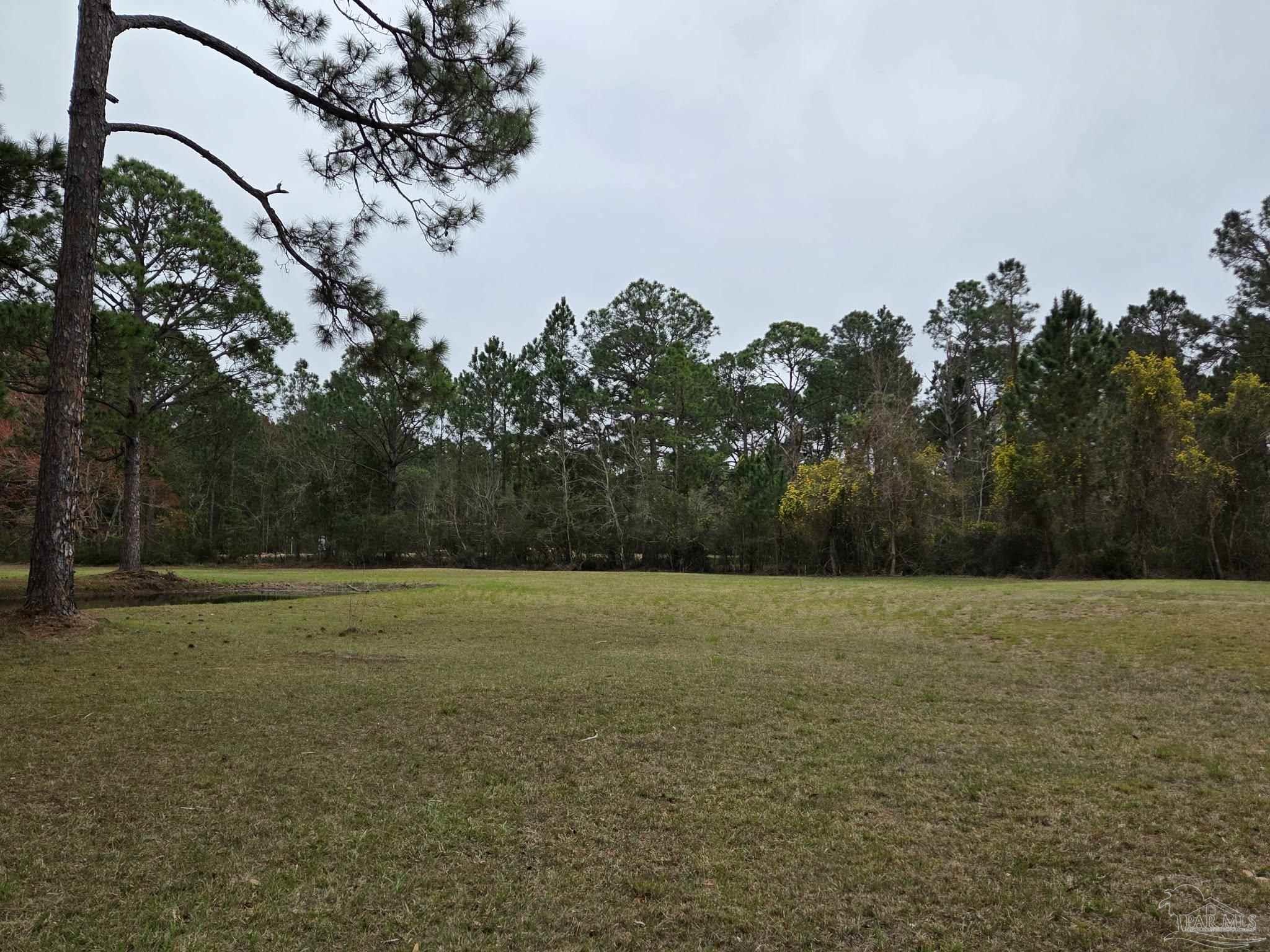 1164 Pearson Road, Unit LOT 2 Milton, FL 32583 - Photo 13 of 25 a view of a big yard with a fountain