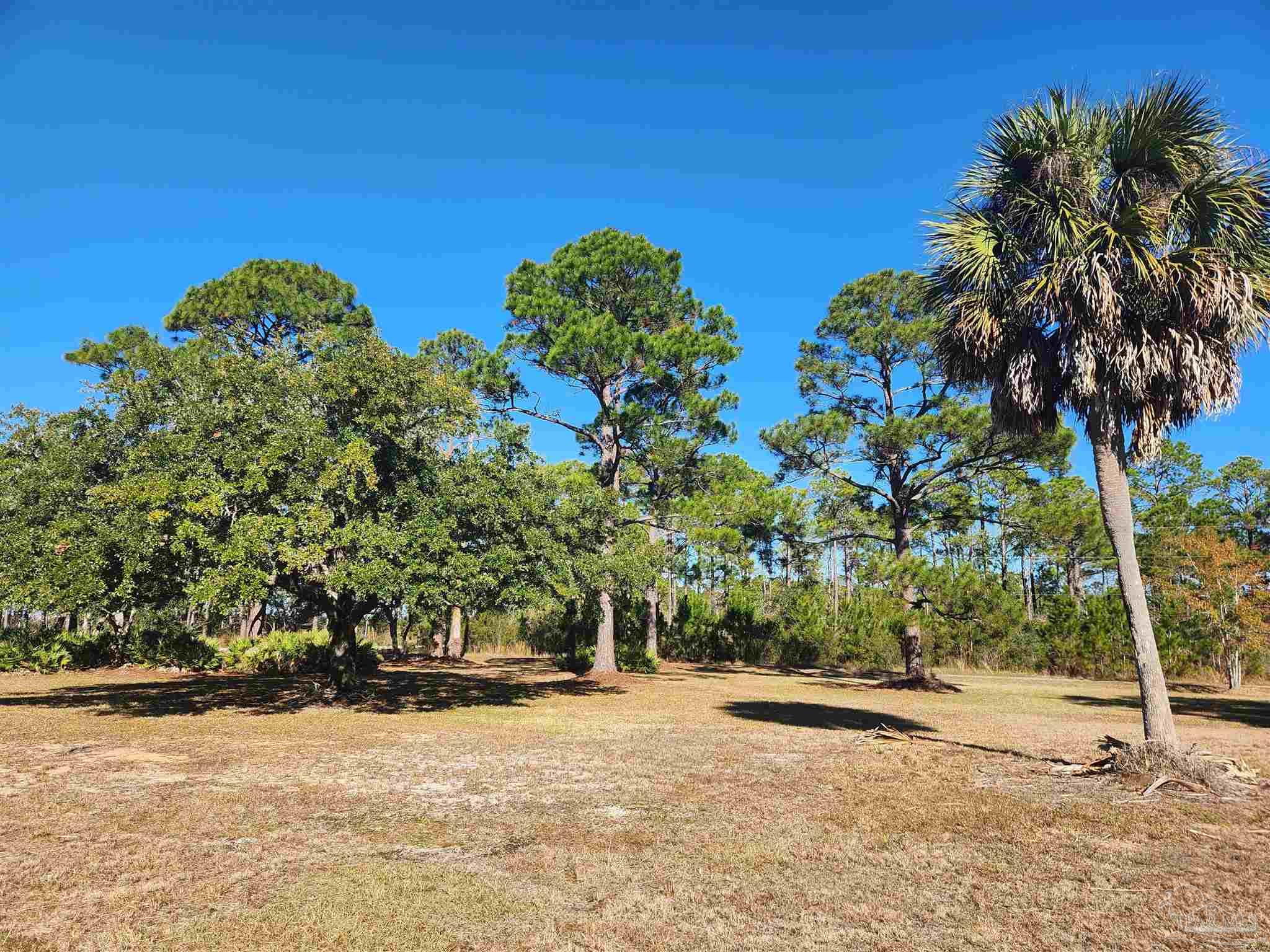 1164 Pearson Road, Unit LOT 2 Milton, FL 32583 - Photo 20 of 25 a backyard of a house with lots of green space