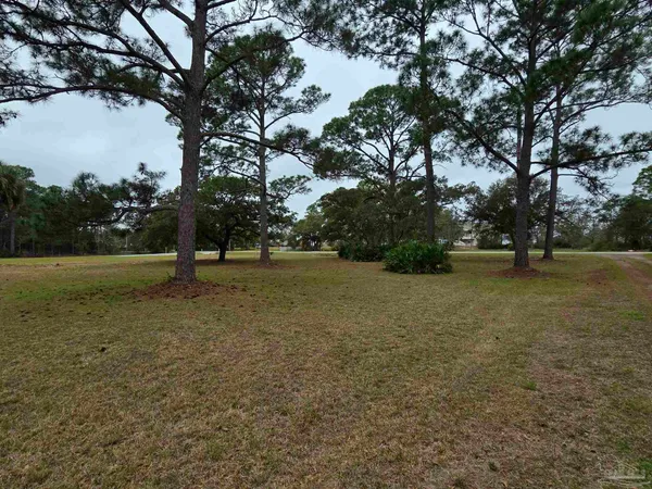 a view of a yard with a tree