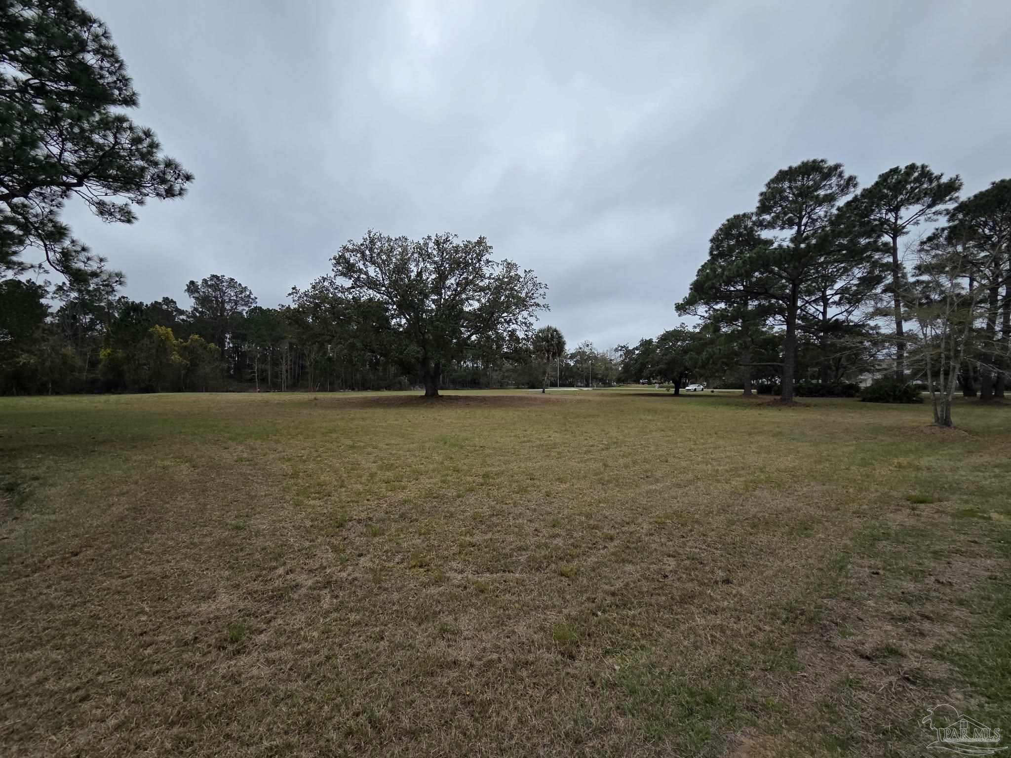 1164 Pearson Road, Unit LOT 2 Milton, FL 32583 - Photo 23 of 25 a view of yard with swimming pool and trees
