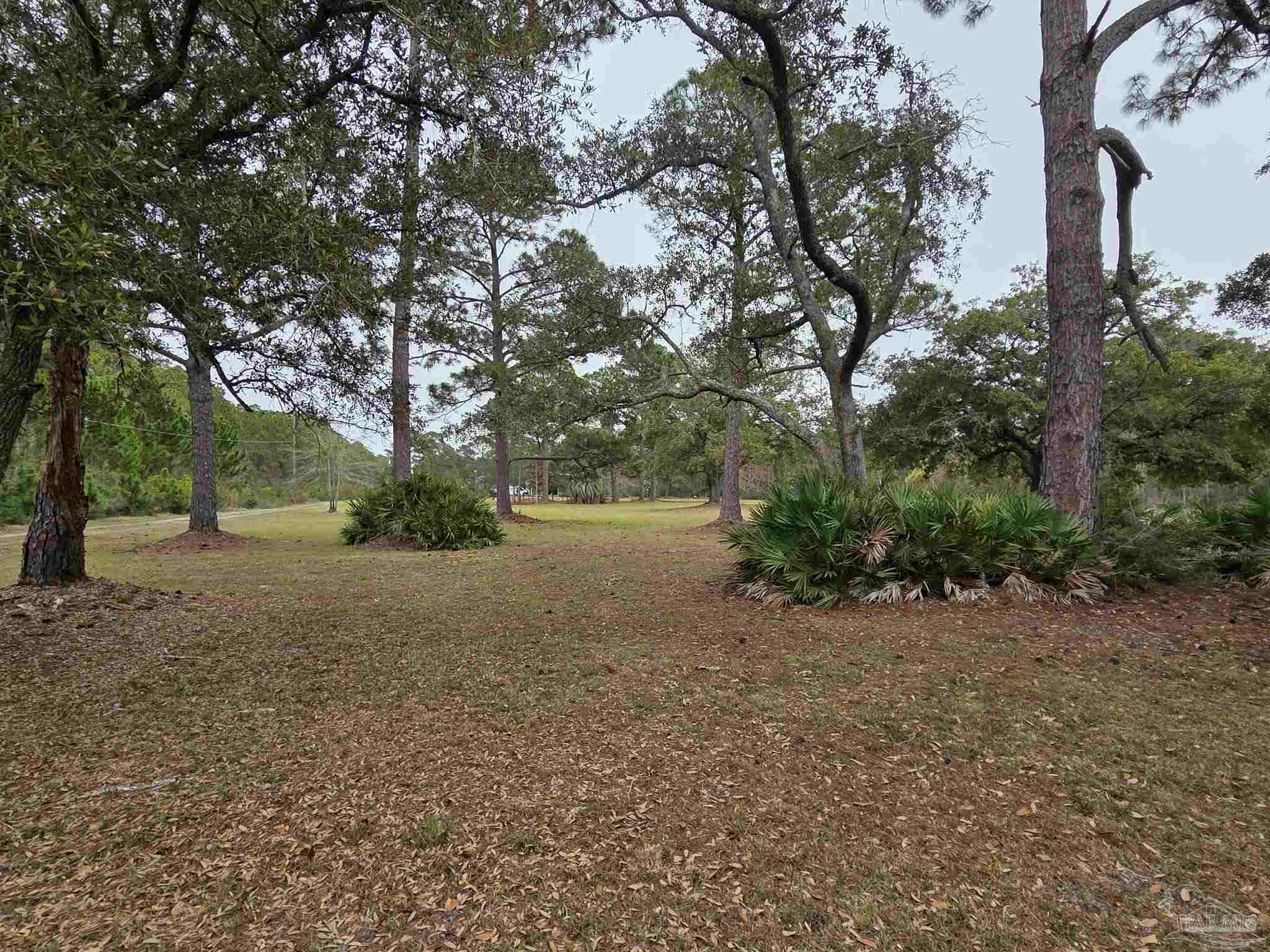 1164 Pearson Road, Unit LOT 2 Milton, FL 32583 - Photo 24 of 25 a view of a yard with a tree