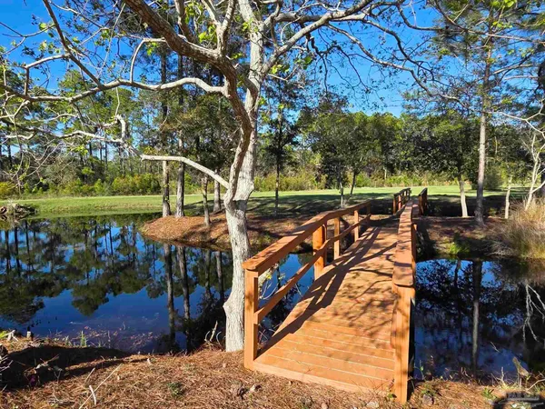 a view of a field with trees in front of it