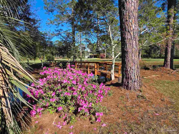 a view of a swimming pool with a patio and a yard