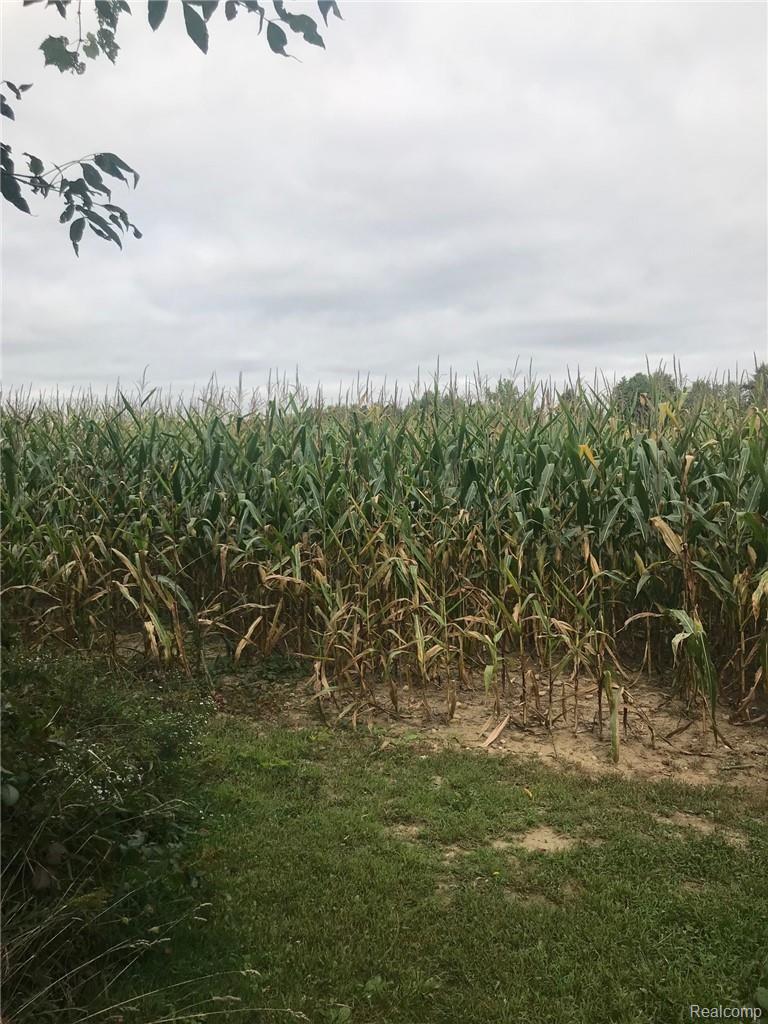 6674 Lothrop Road Imlay City, MI 48444 - Photo 24 of 24 IMG_2659(2).jpg