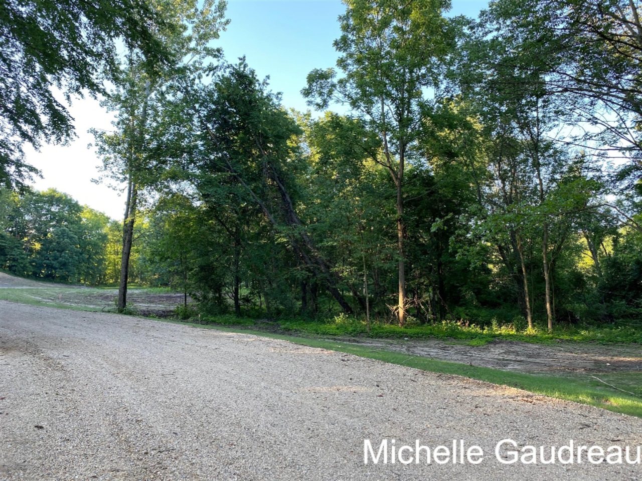 North N Ridge, Unit PARCEL 1 Middleville, MI 49333 - Photo 8 of 9