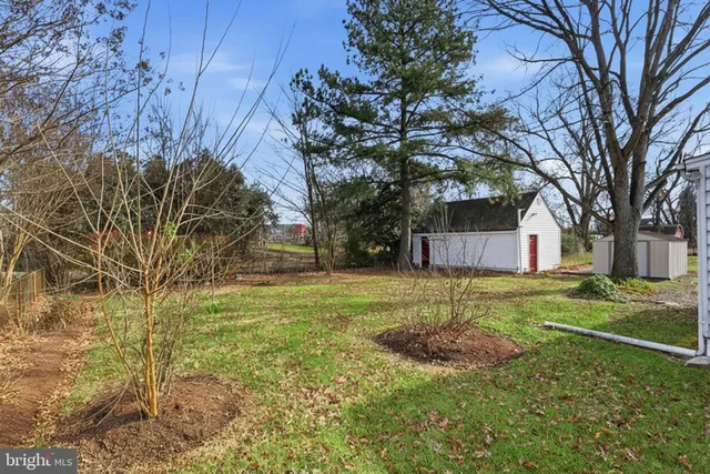 a garden view with large trees