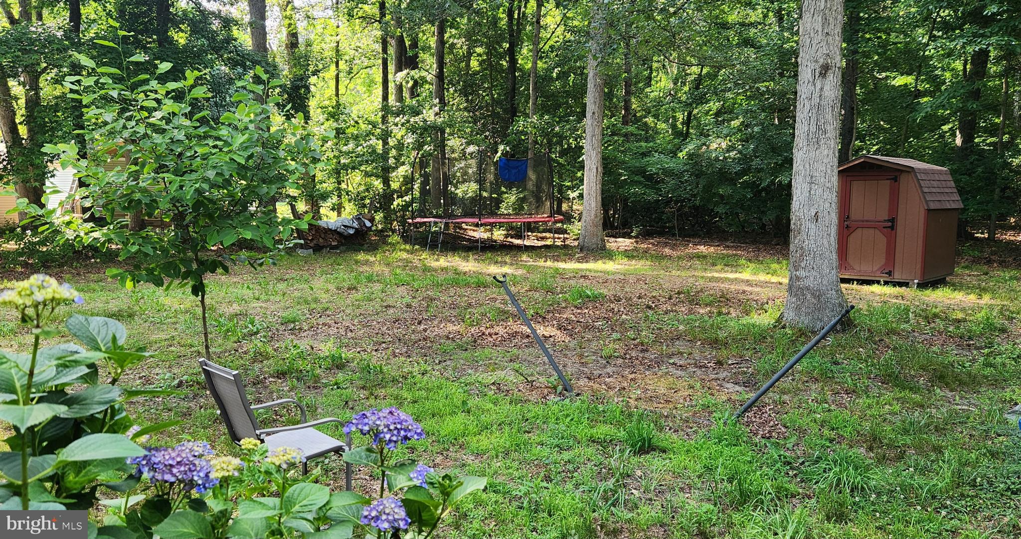 350 Deep Shore Road Denton, MD 21629 - Photo 11 of 22 Lovley wooded view of back yard