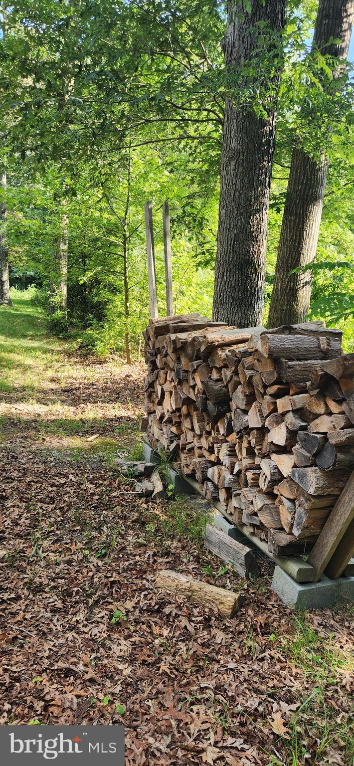 350 Deep Shore Road Denton, MD 21629 - Photo 12 of 22 Dry Seasoned wood to convey