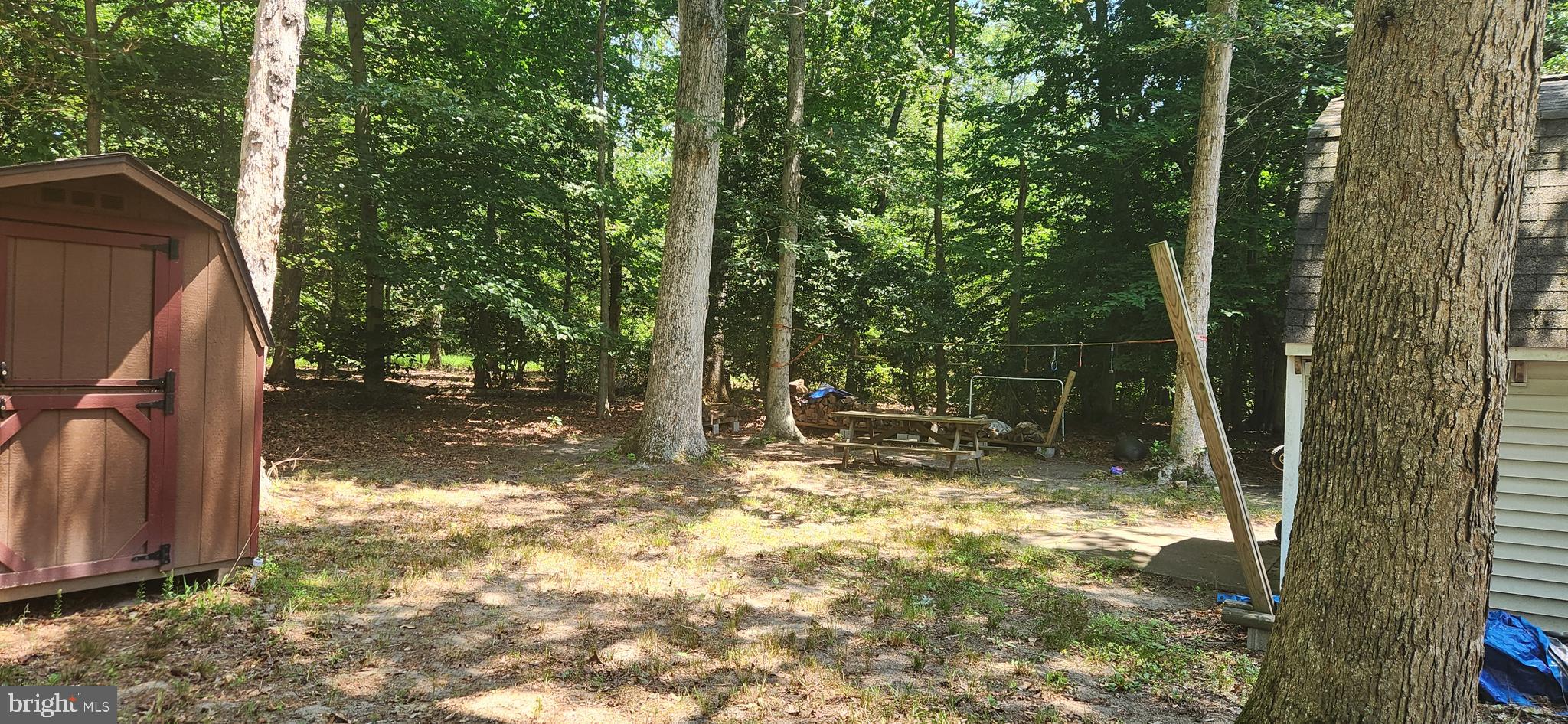 350 Deep Shore Road Denton, MD 21629 - Photo 9 of 22 picnic area