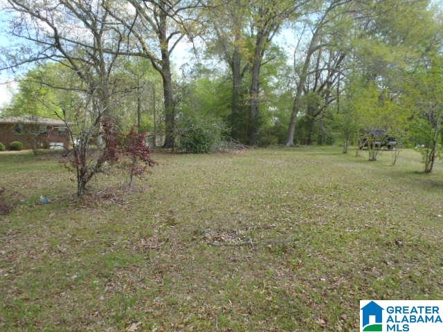 140 Wolf Creek Road North Pell City, AL 35125 - Photo 12 of 22