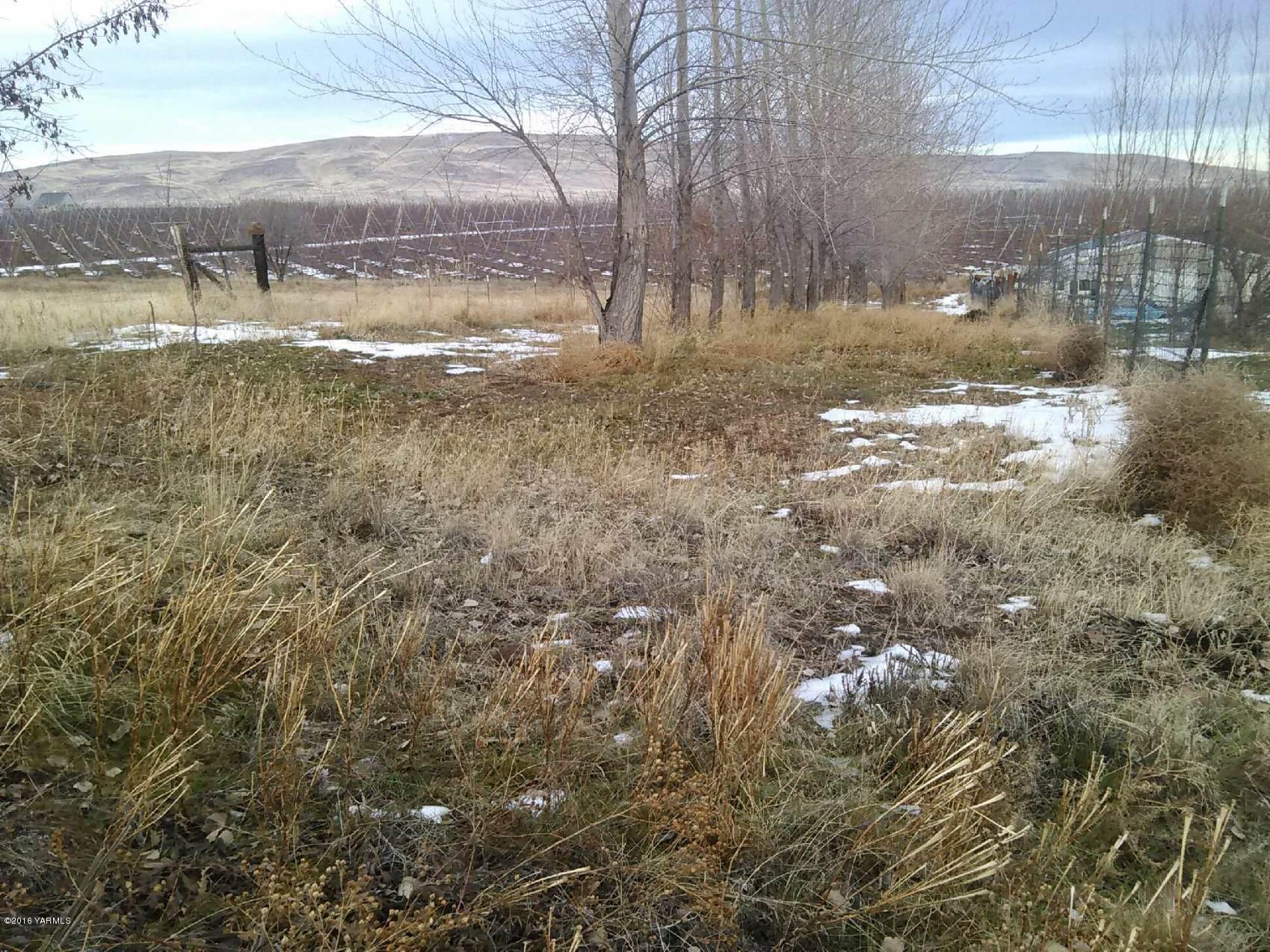 Nna Cook Road Yakima, WA 98908 - Photo 3 of 4 a view of a yard of a house