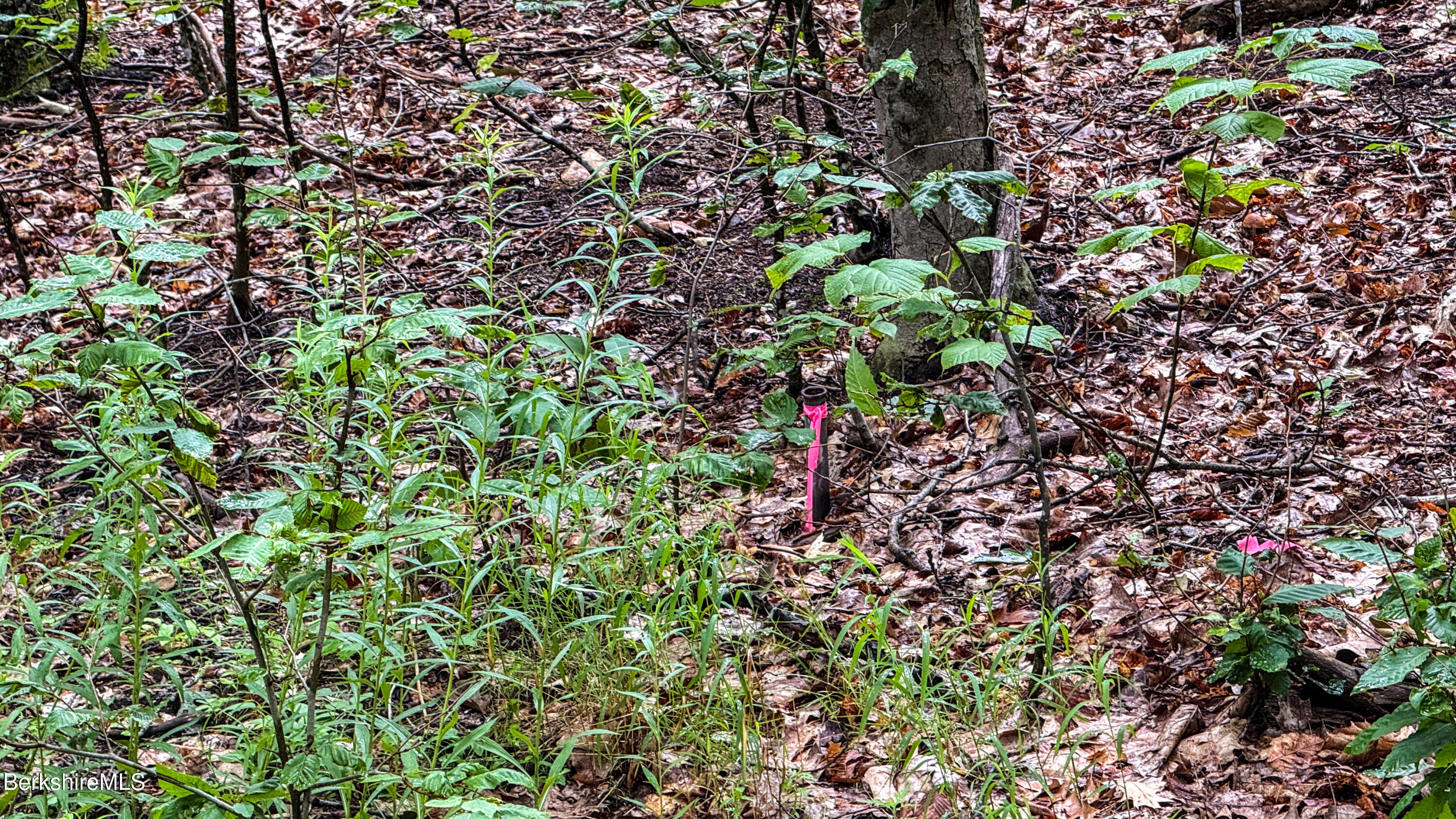 Lot76 Moberg Road Becket, MA 01223 - Photo 6 of 10 LOT 76