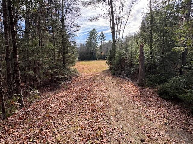 15 Switch Road Canaan, NH 03741 - Photo 1 of 10 Gallery Image 1