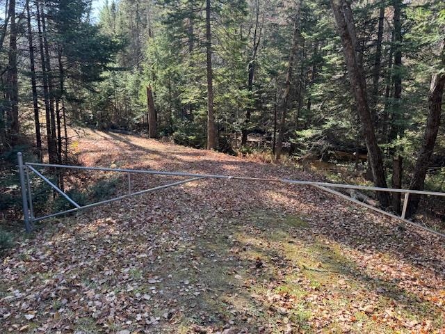 15 Switch Road Canaan, NH 03741 - Photo 4 of 10 Gallery Image 4