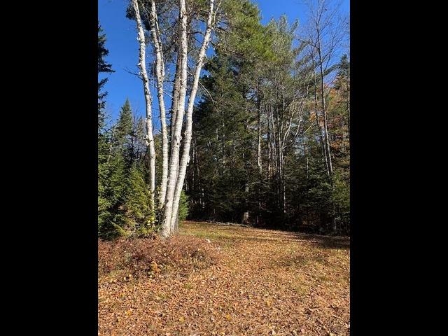 15 Switch Road Canaan, NH 03741 - Photo 5 of 10 Gallery Image 5