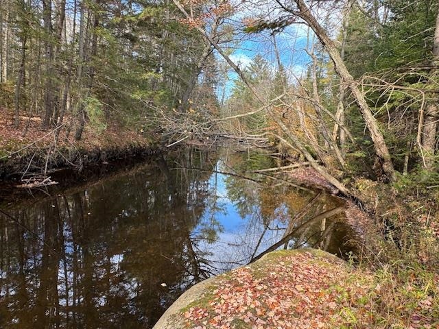 15 Switch Road Canaan, NH 03741 - Photo 8 of 10 Gallery Image 8