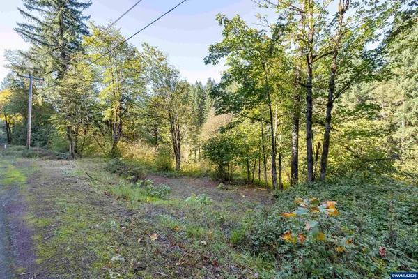 $55,000 | Lot 7 Highway 20 Cascadia Or 97329, Cascadia, OR 97329