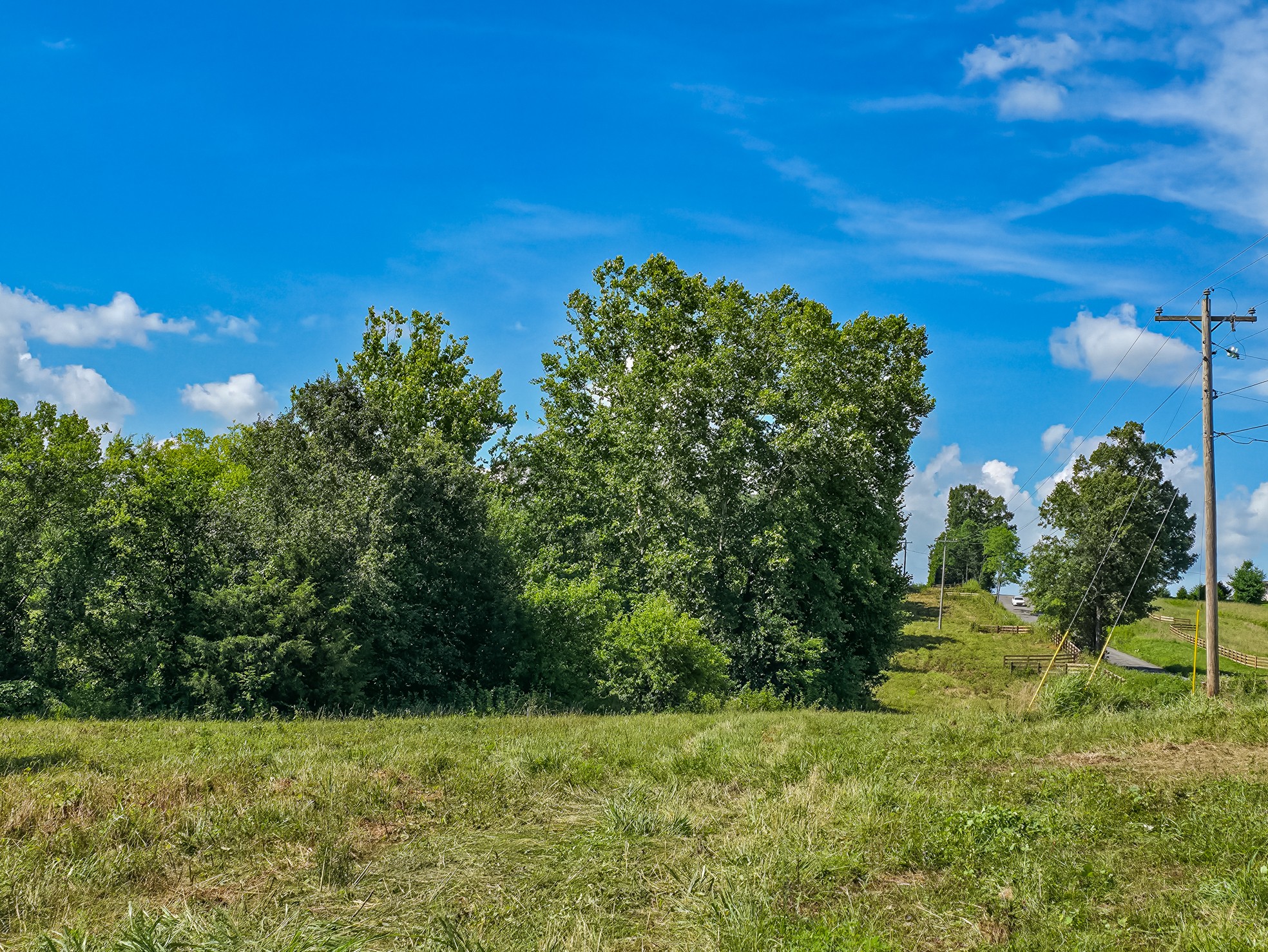 11 B Double Branch Road Columbia, TN 38401 - Photo 9 of 15 Gallery Image 9