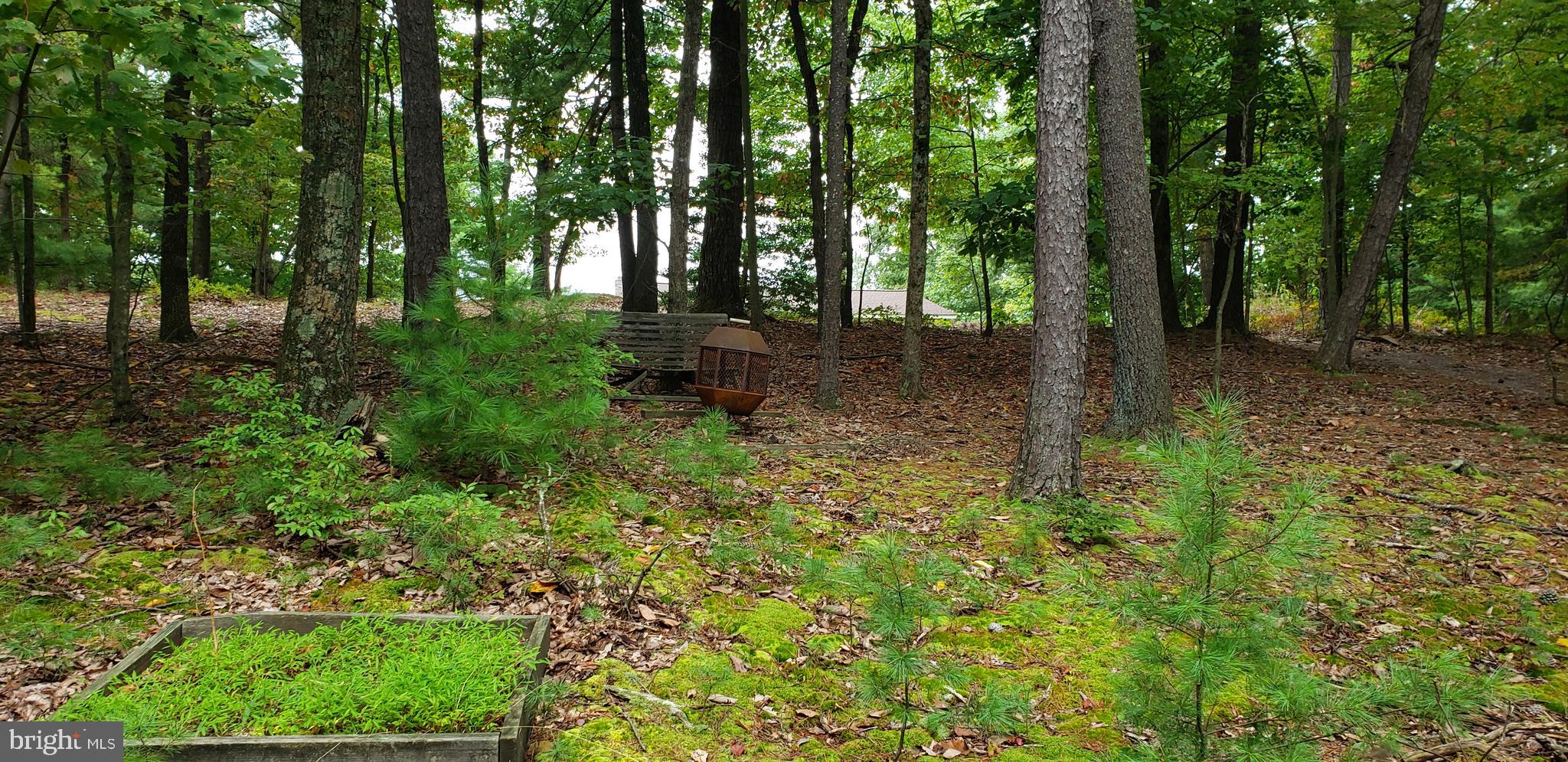 656 North Maple Road Mount Jackson, VA 22842 - Photo 8 of 43