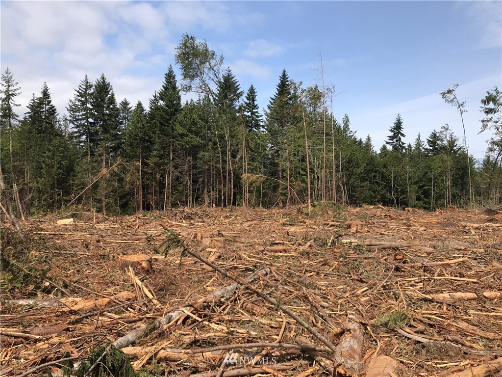 0 Bravo Road Port Angeles, WA 98362 - Photo 11 of 18