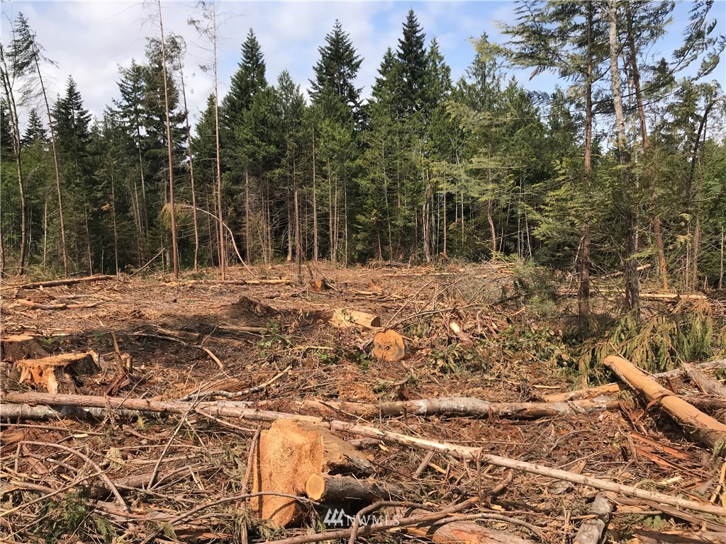 0 Bravo Road Port Angeles, WA 98362 - Photo 13 of 18