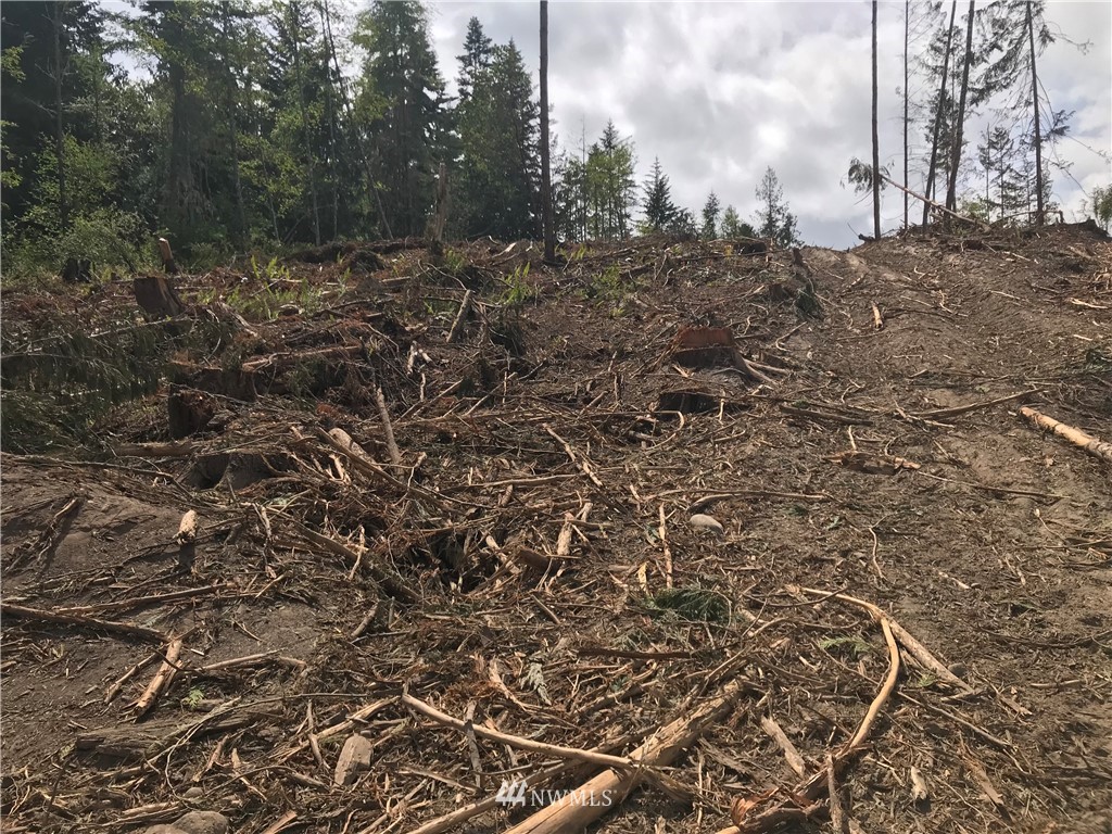 0 Bravo Road Port Angeles, WA 98362 - Photo 16 of 18